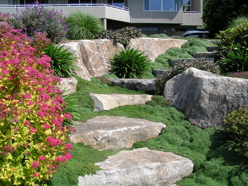 Click to view more about Rockeries
