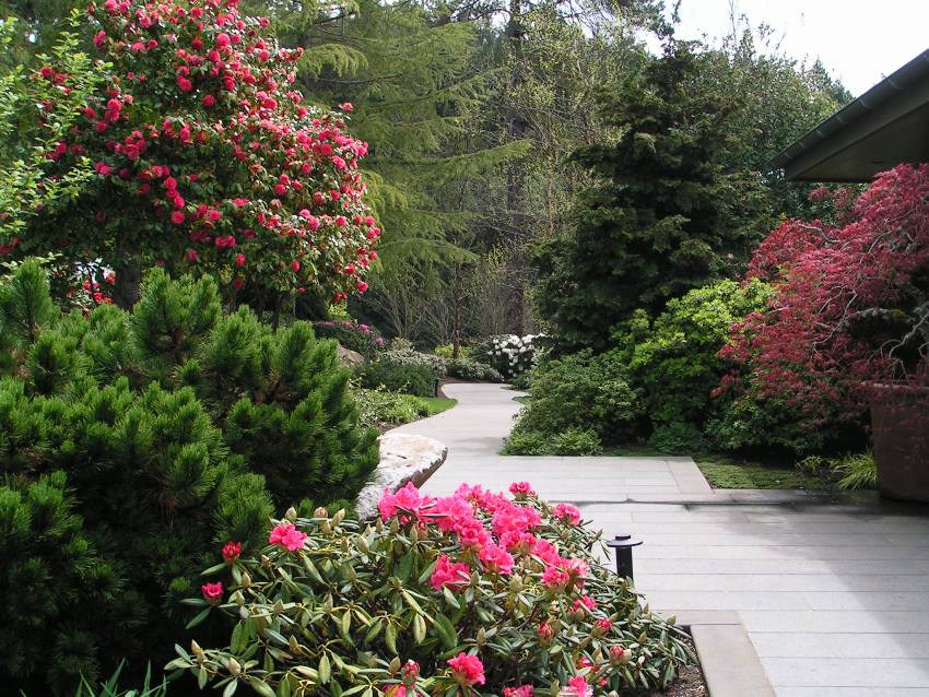Rhododendron Garden Patio